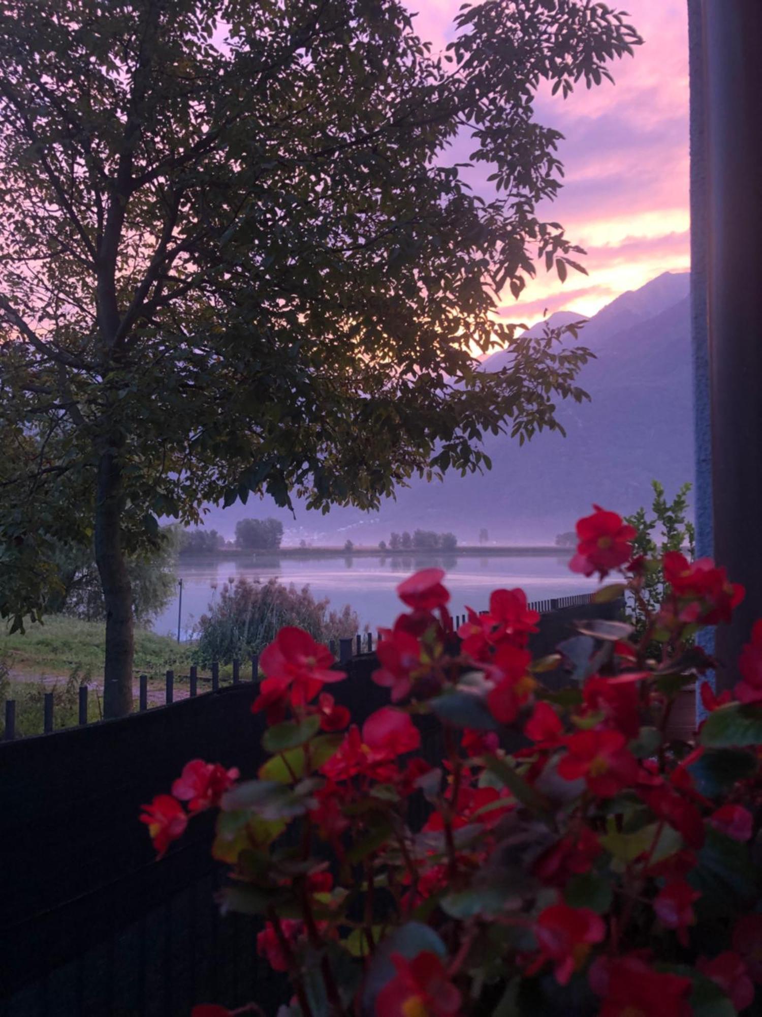 Adeline Bed & Breakfast Dascio Exterior foto
